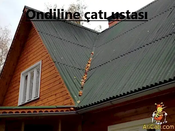 Onduline Çatı ustası-Onduline ustası, hizmetlerimiz