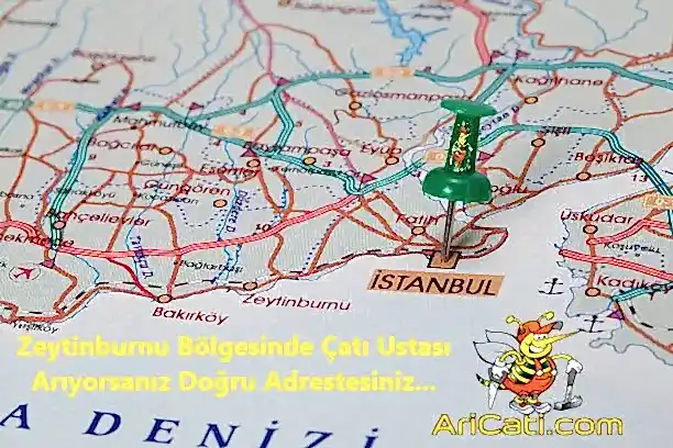 Zeytinburnu Çatı Ustası