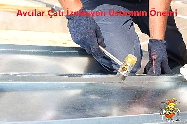 Avcılar çatı izolasyon ustasının Önemi