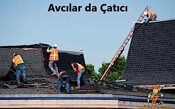 avcilar-da-catici Avcılar da Çatıcı