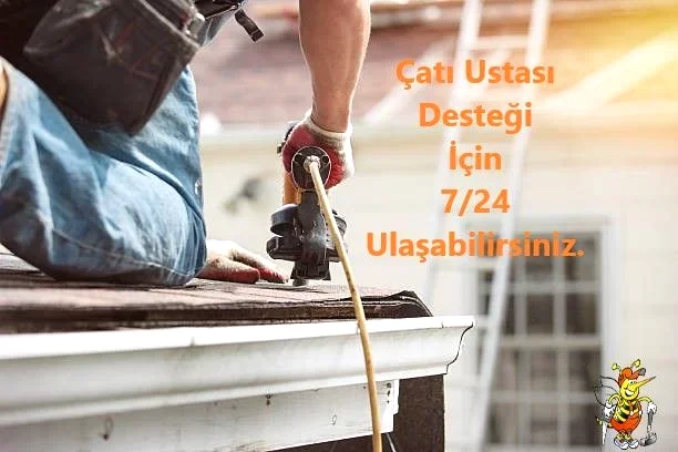 Çatı Ustası Desteği
