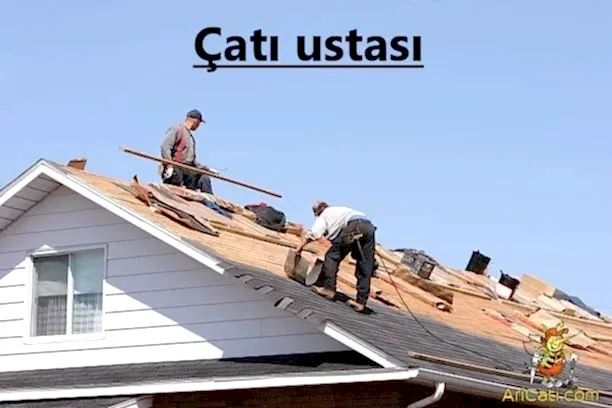 Çatı ustası-Arı Çatı ustası, hizmetlerimiz, bölgelerimiz