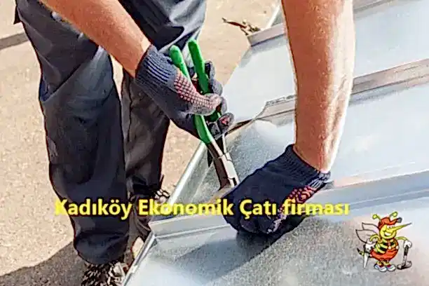 Kəndi Ekonomik Çatı firmaları