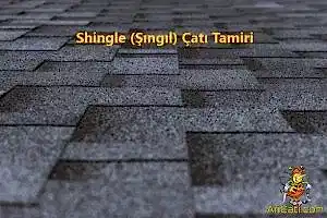 Shingle Çatı Ustası