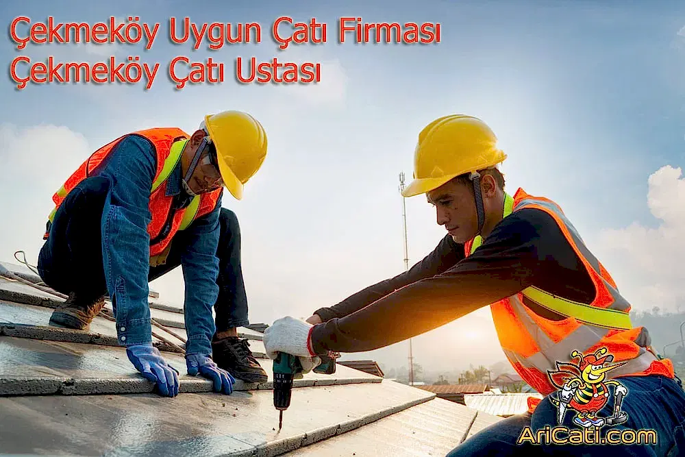 Çekmeköy uygun çatı firması