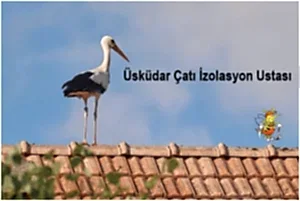 Üsküdar çatı İzolasyon ustası, Üsküdar izolasyoncu,çatı izolasyon yapımı