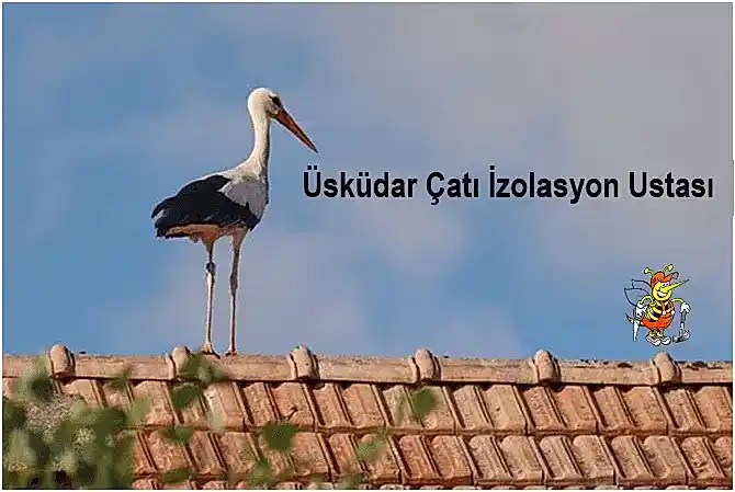 Üsküdar çatı İzolasyon ustası, Üsküdar izolasyoncu,çatı izolasyon yapımı