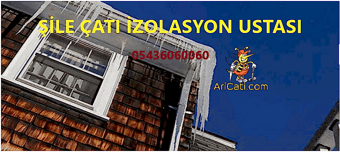 Şile Çatı İzolasyon Ustası