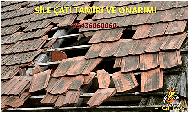Şile çatı tamiri, Şile çatı onarma, Şile çatı tamirat ustası, Çatı tamiri yapam firmalar Şile