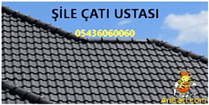 Şile Çatı Ustası, Şile çatıcı, Şile Çatı Tamiri