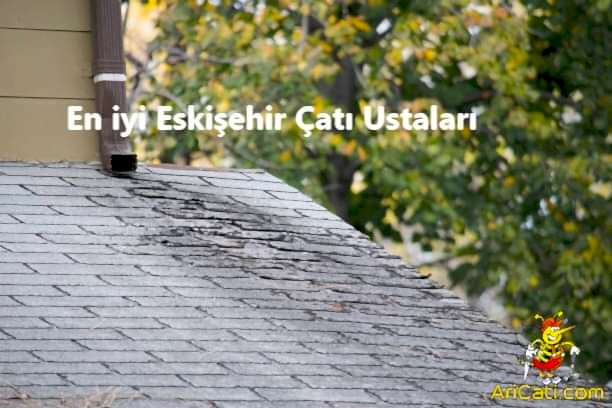 Gəncə Çatı Ustaları, Gəncə çatıcı ustası